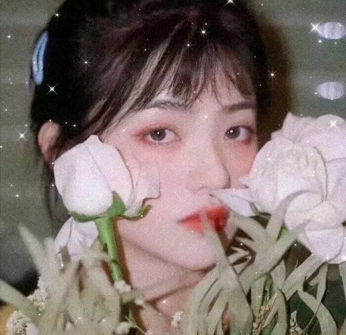 与君相恋100次国语